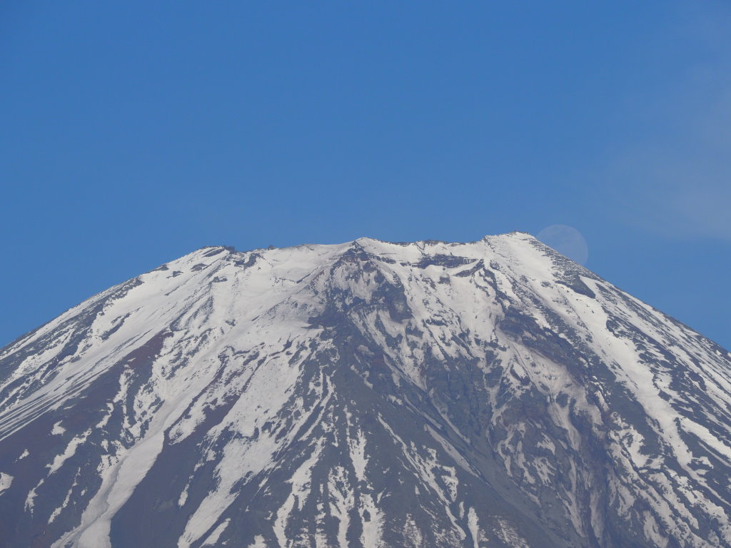 5/8 �p�[���x�m���ǂ�