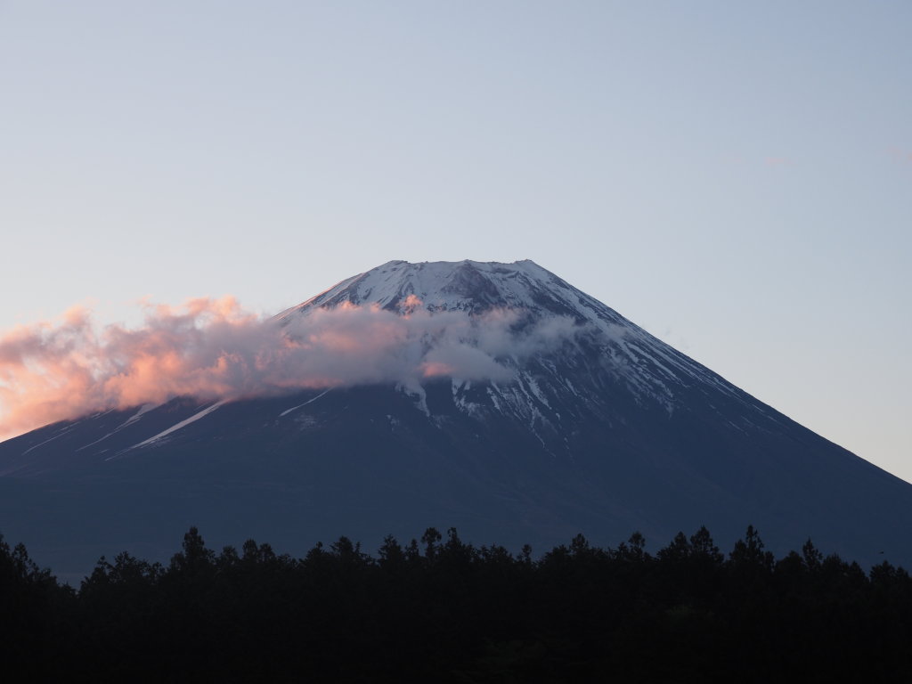 5/11 ��������̒��Ă��̕x�m�R