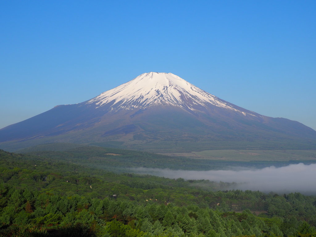 5/19 �_�C�Ɍ�