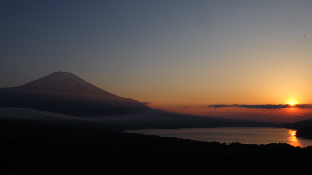 5/19 ���̓���̕x�m�R