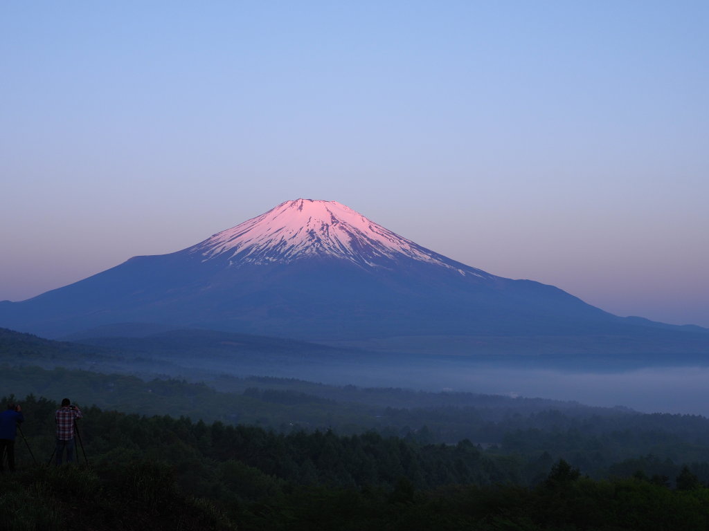 5/20 �ق�̂蒩�Ă�