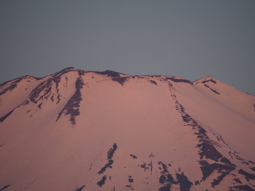 5/20 ���Ă��̃A�b�v