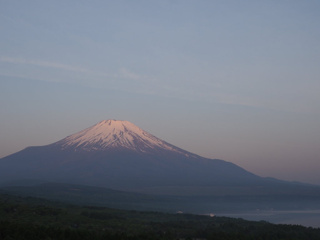 5/21 ���Ă��̕x�m�R