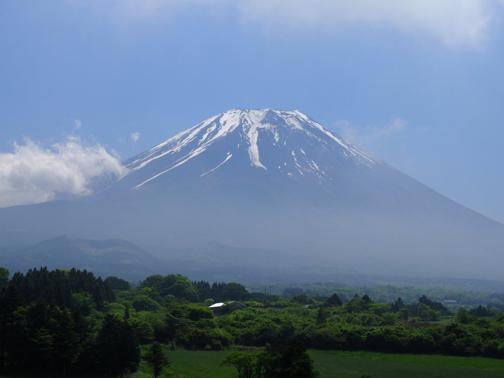 5/23 �����n�߂��x�m�R