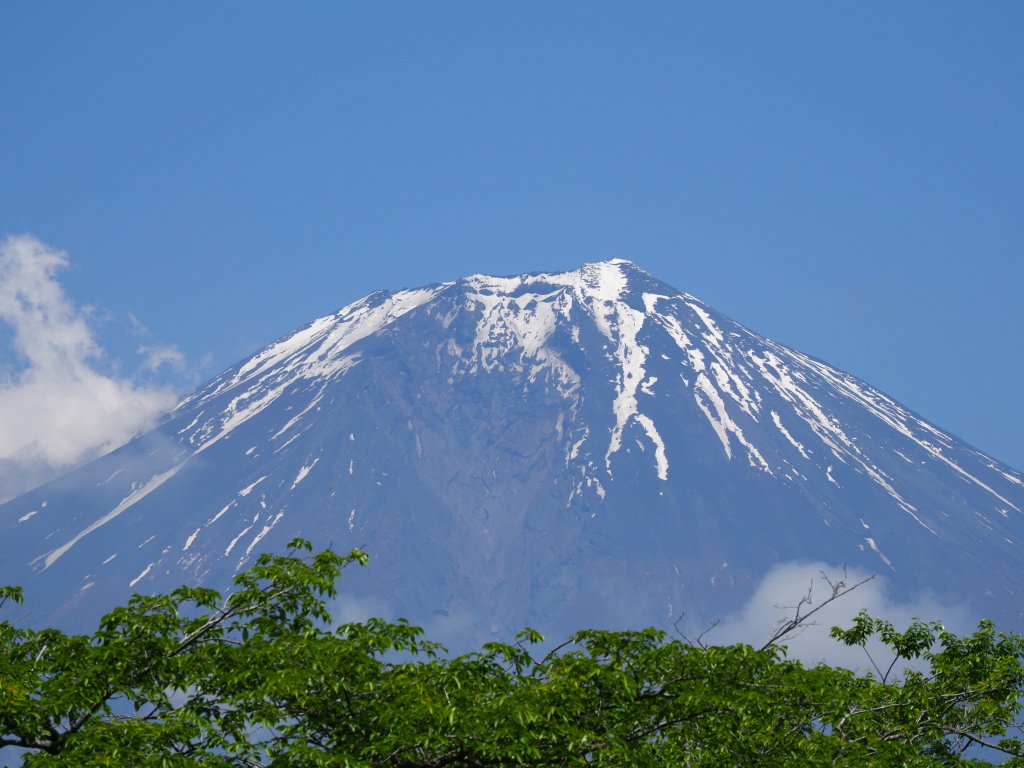 5/23 �c�ь΂���̕x�m�R