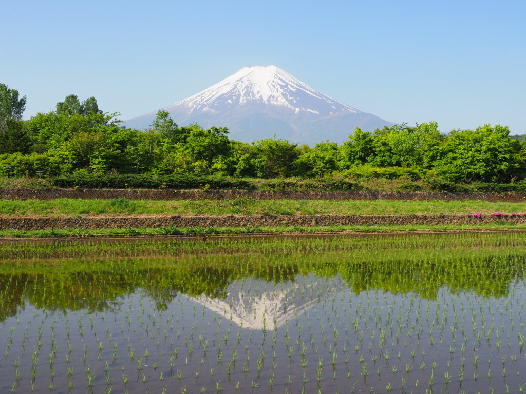 5/21 �t���x�m�O��(�_������)