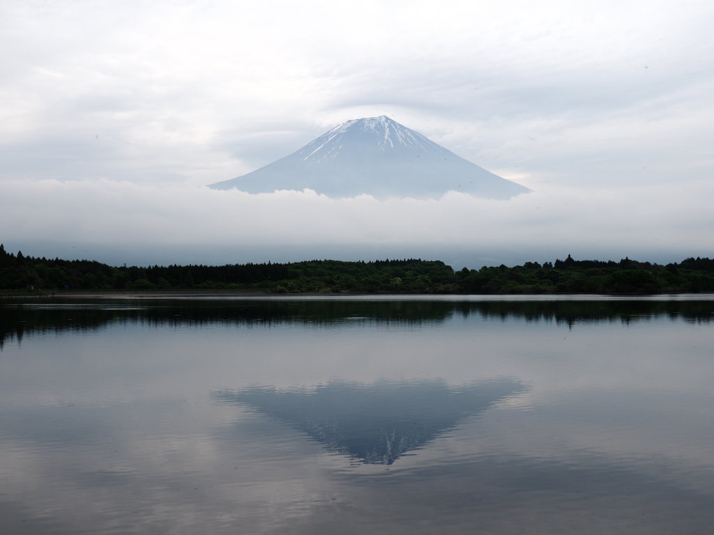 5/24 �t���x�m�O��(�c�ьΖk)