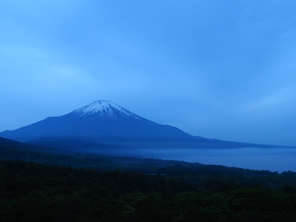 5/31 �_�C�ƕx�m�R