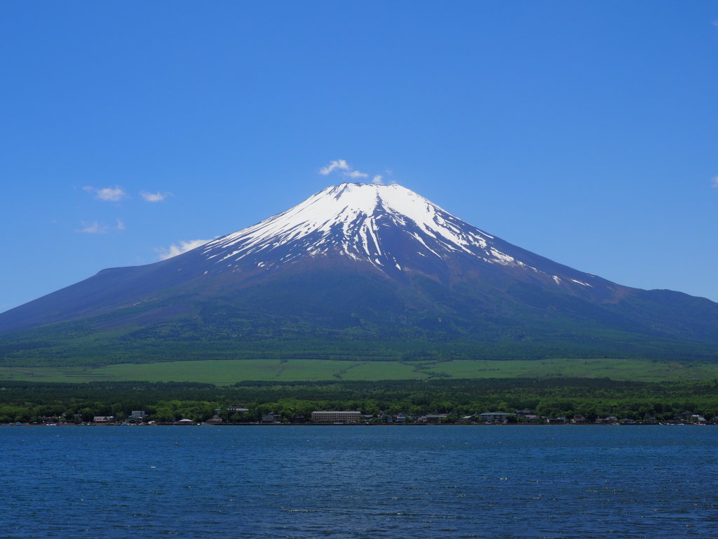 6/2 ���r����̕x�m�R