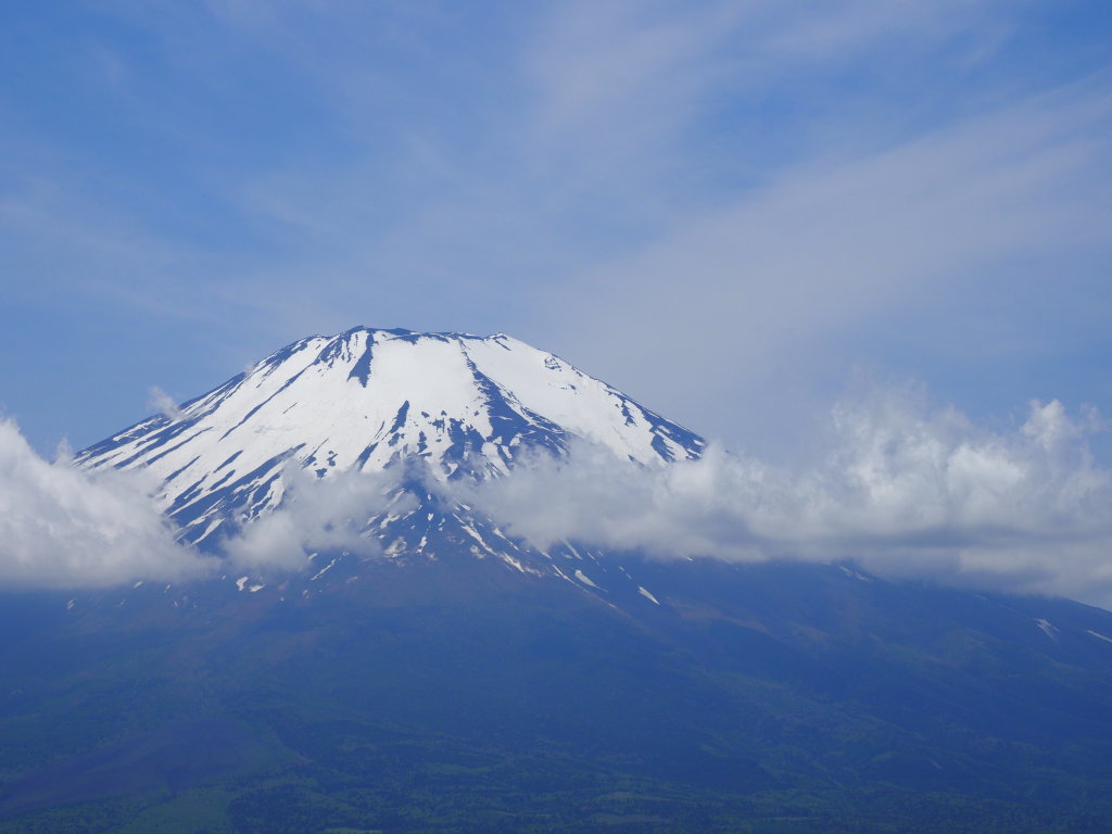 6/3 �����O�̕x�m�R