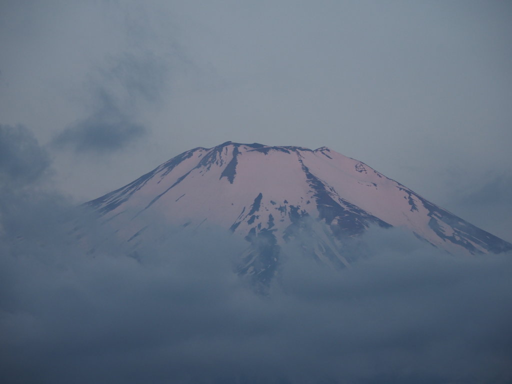 6/5 ��u�̕x�m�R