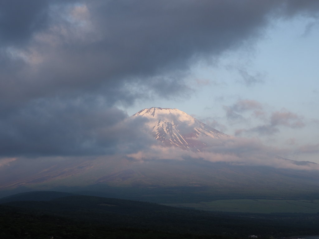 6/5 �܍L����