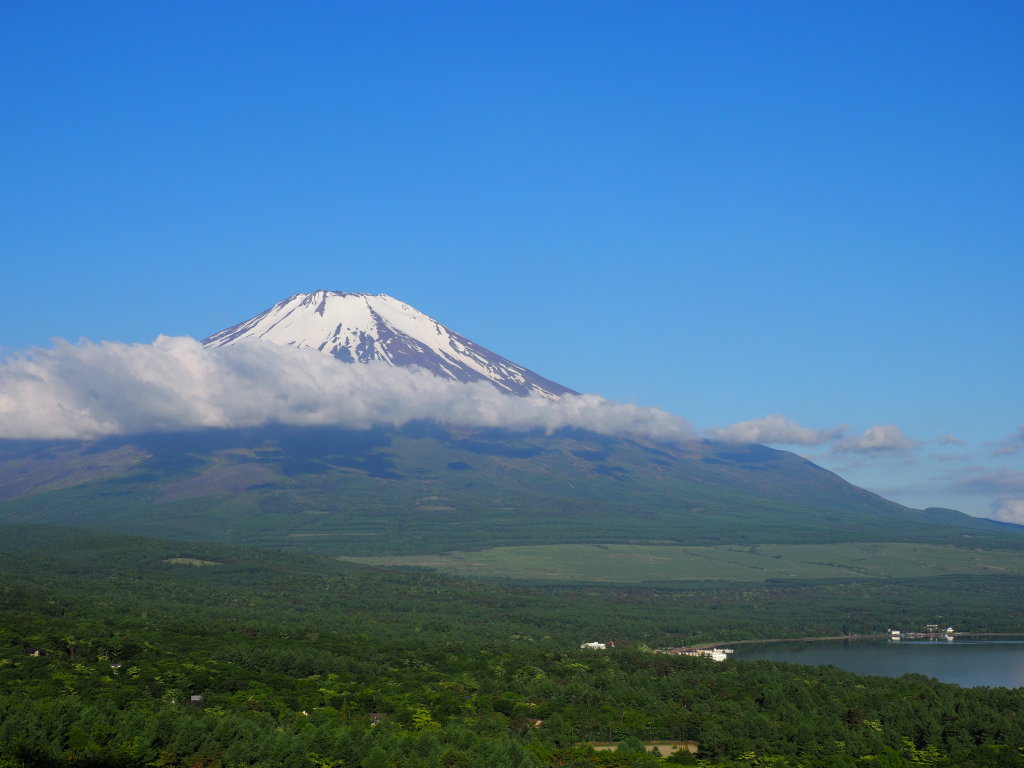 6/5 ����̉_�ƕx�m�R