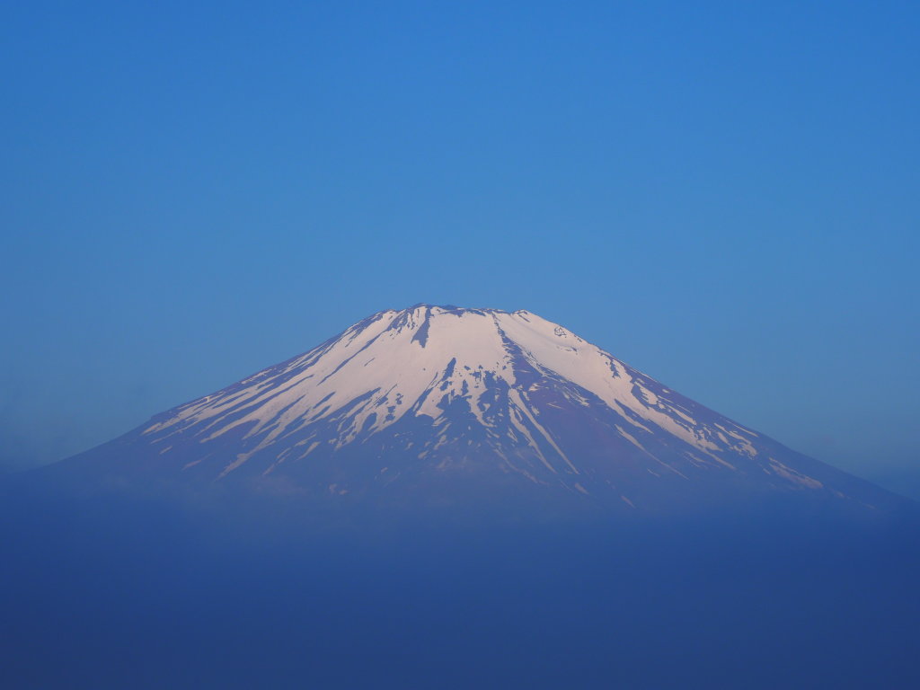 6/6 �Ăт̕x�m�R