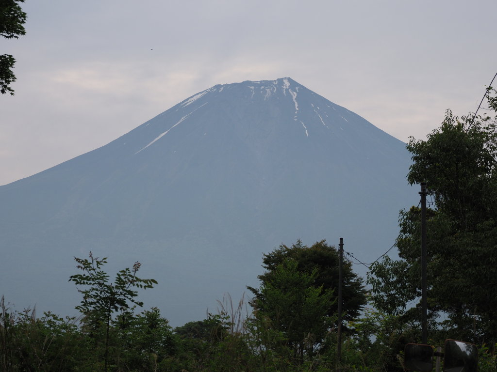 6/18 ������������̕x�m�R