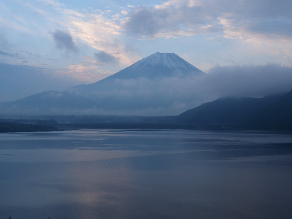 6/19 �����n�߂��x�m�R