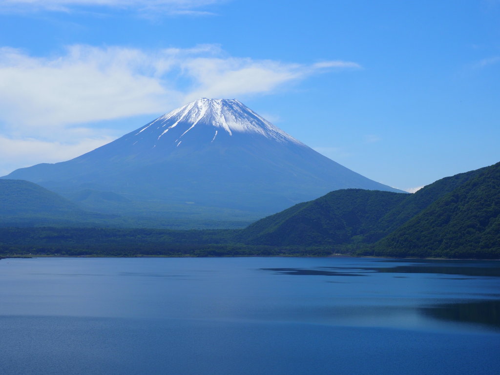 6/19 �Y��ȕx�m�R