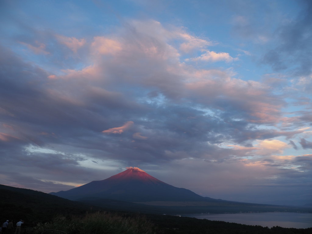 8/24 ���Ă��̕x�m�R