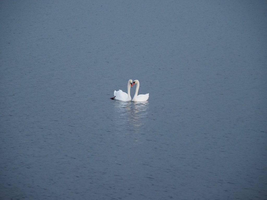 9/7 �����̗�