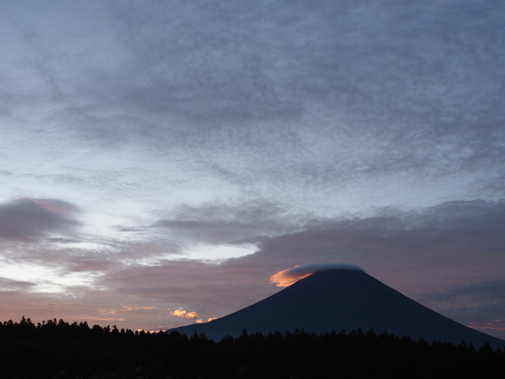 9/8 �P�_����