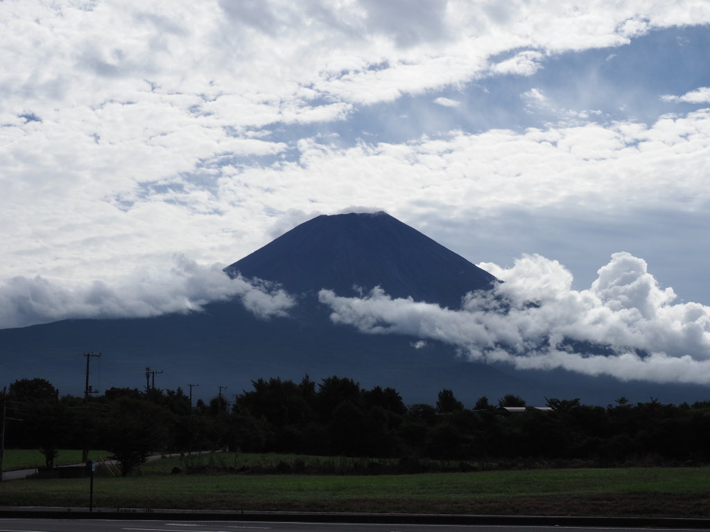 9/8 ����₩�p�[�N����x�m�R