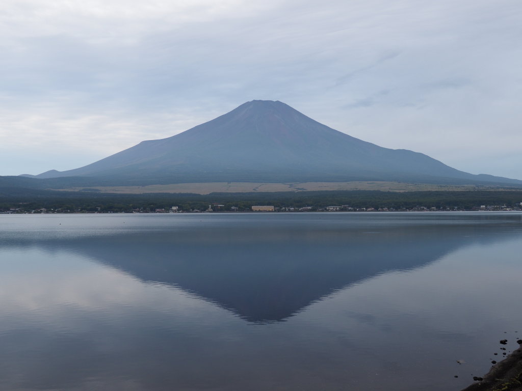 9/20 �t���x�m