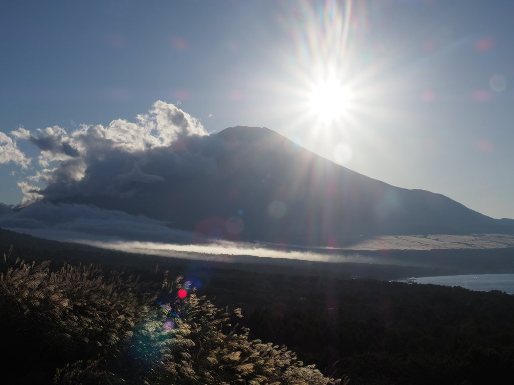 10/3 �X�X�L�ƕx�m�R