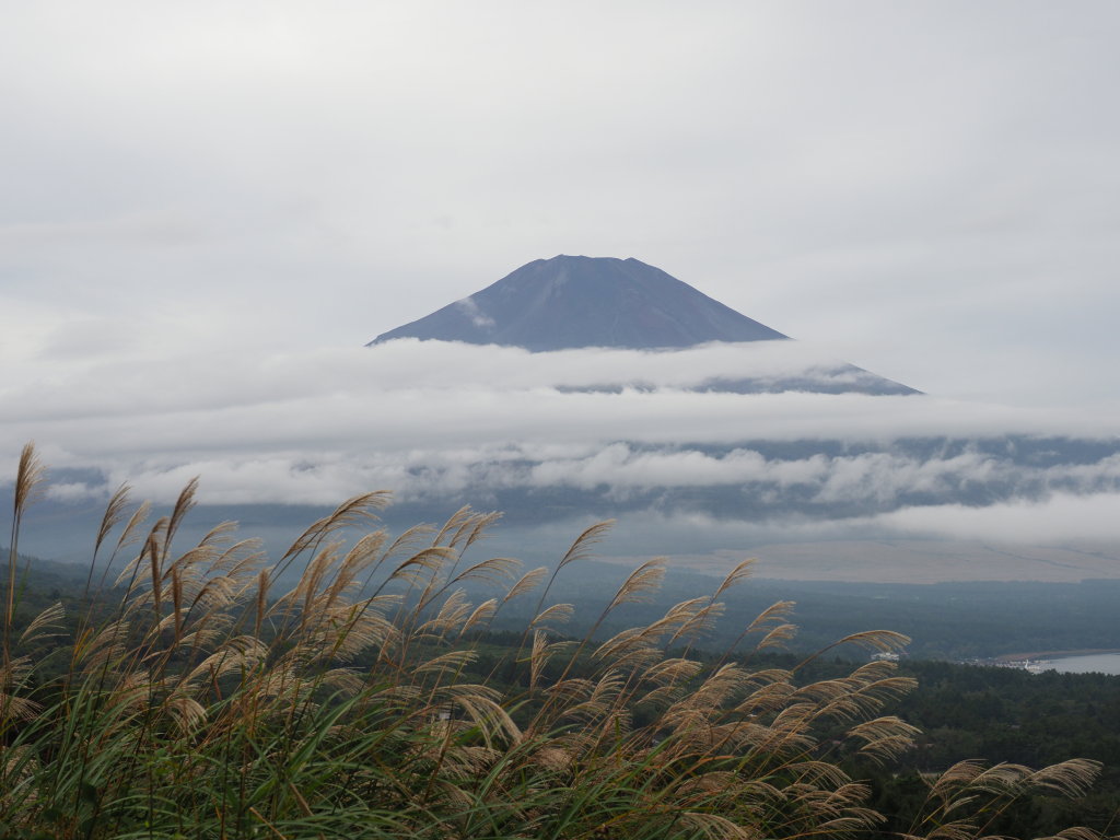 10/6 �X�X�L�ƕx�m�R