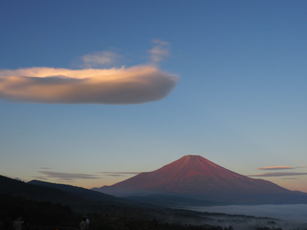 10/11 ���Ă��̕x�m�R