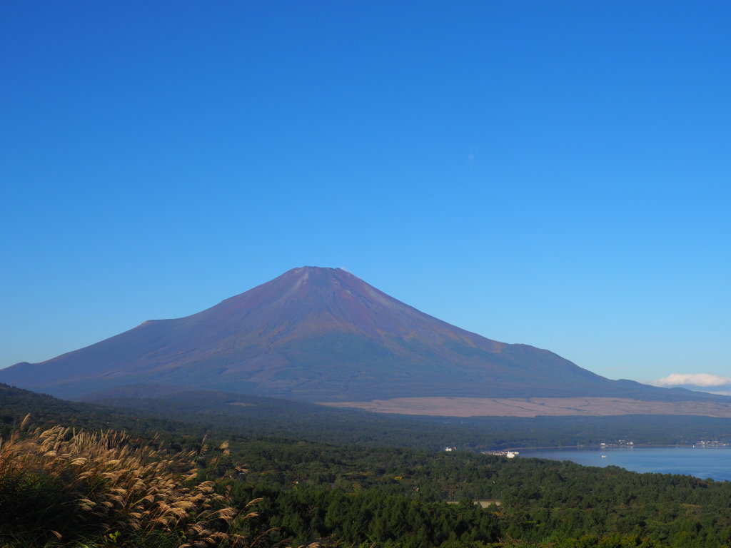 10/12 �X�X�L�Ɍ���