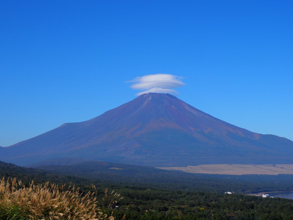 10/12 �P�_���o�n�߂�