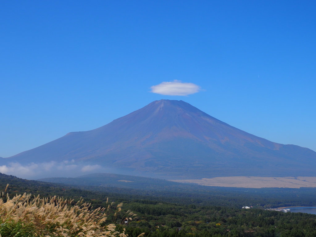 10/12 �P�_�̕x�m�R