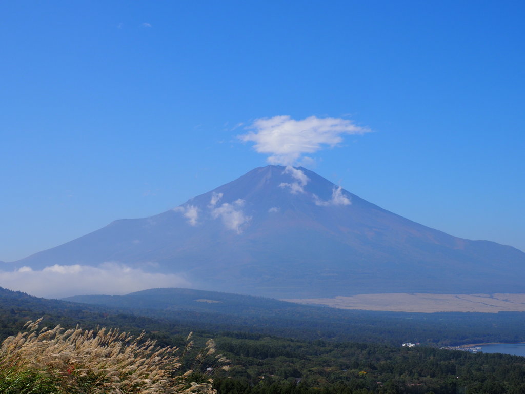 10/12 �P�_�����