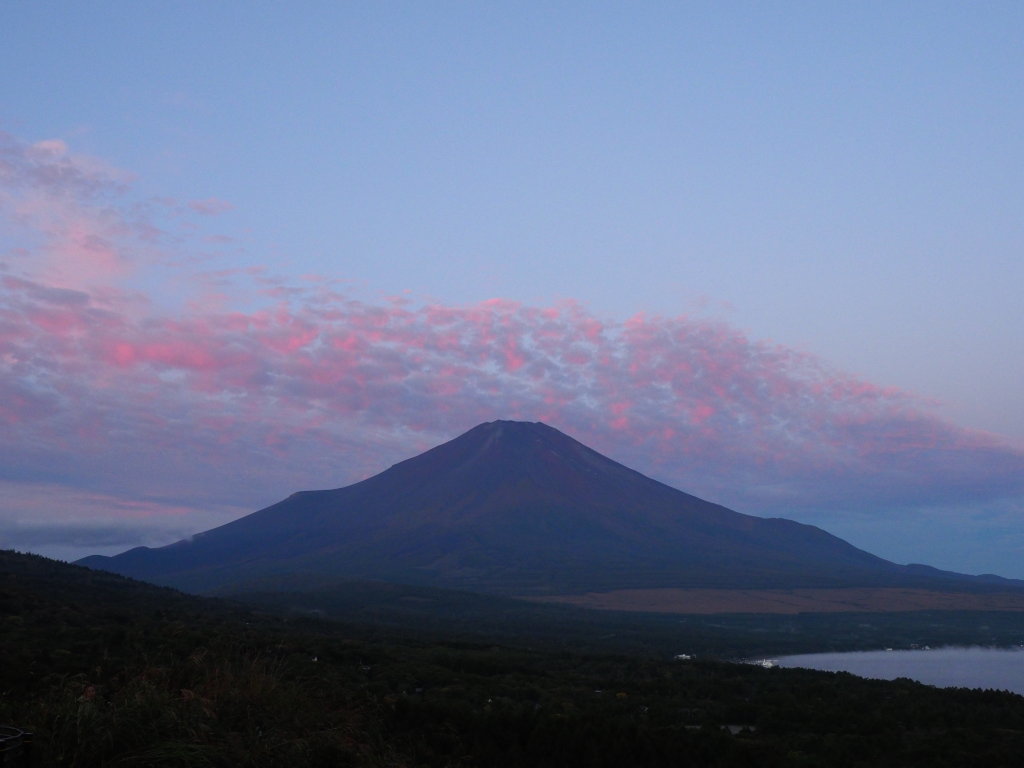 10/18 ��Ă��̕x�m�R