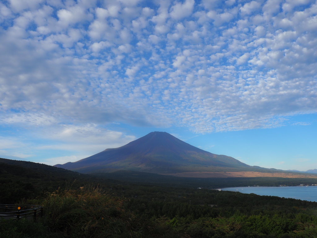 10/18 ���낱�_�ƕx�m�R