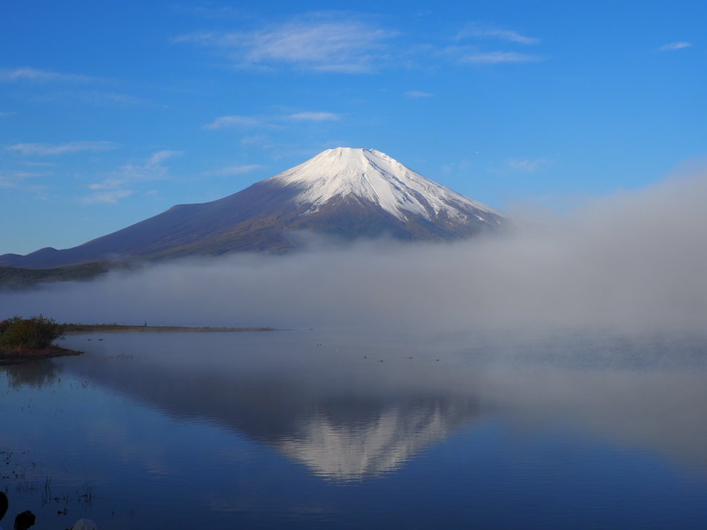 10/26 �~���ς̕x�m�R