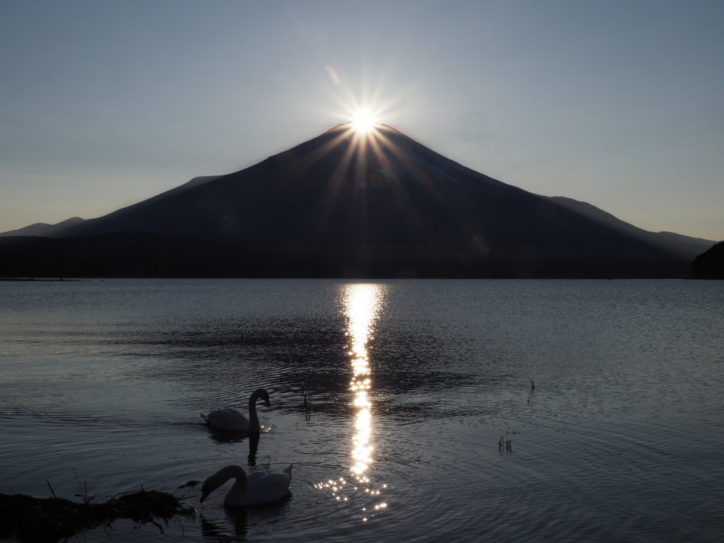 10/26 �_�C�������h�x�m(2)