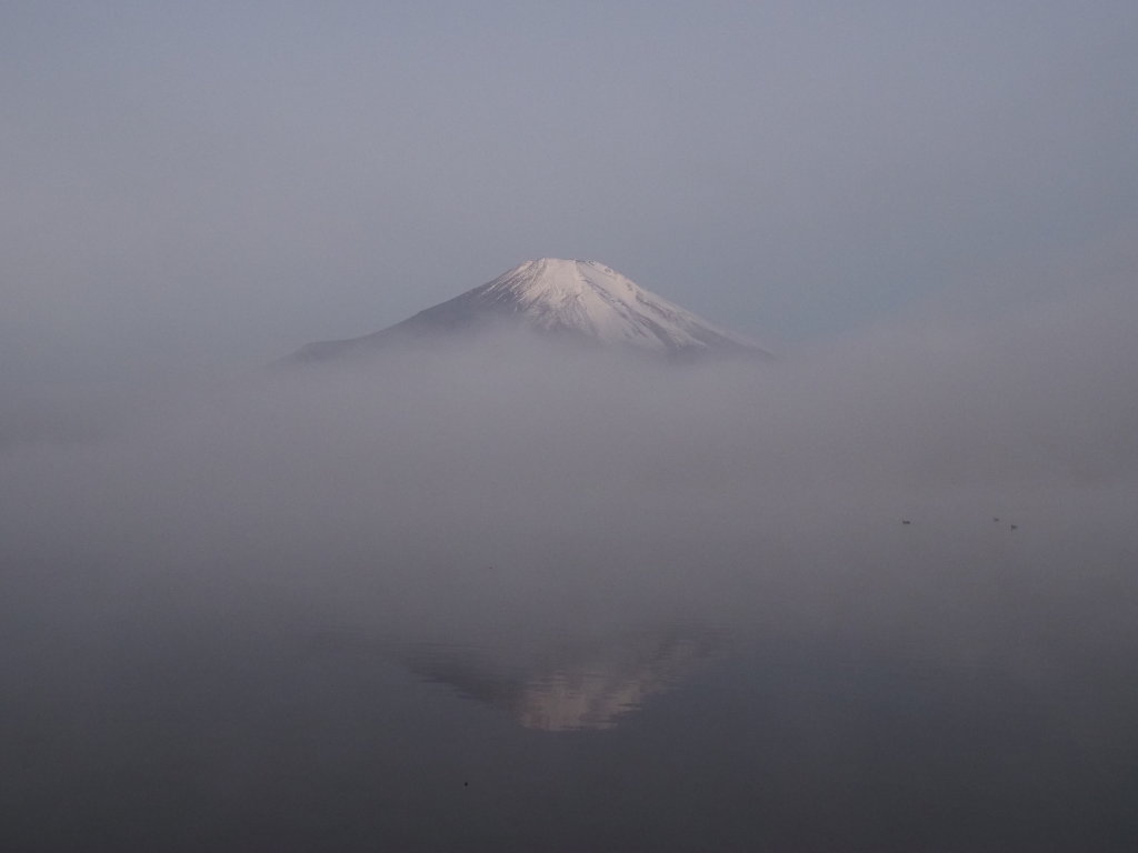 10/27 �_�C�ɕ����ԕx�m�R