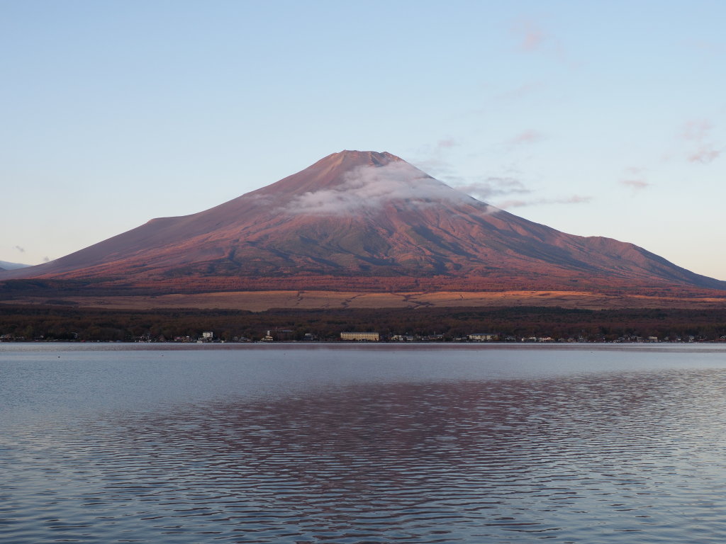 11/5 �_�؂�n��