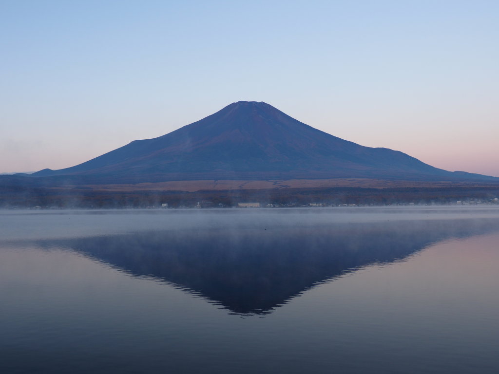 11/6 �t���x�m