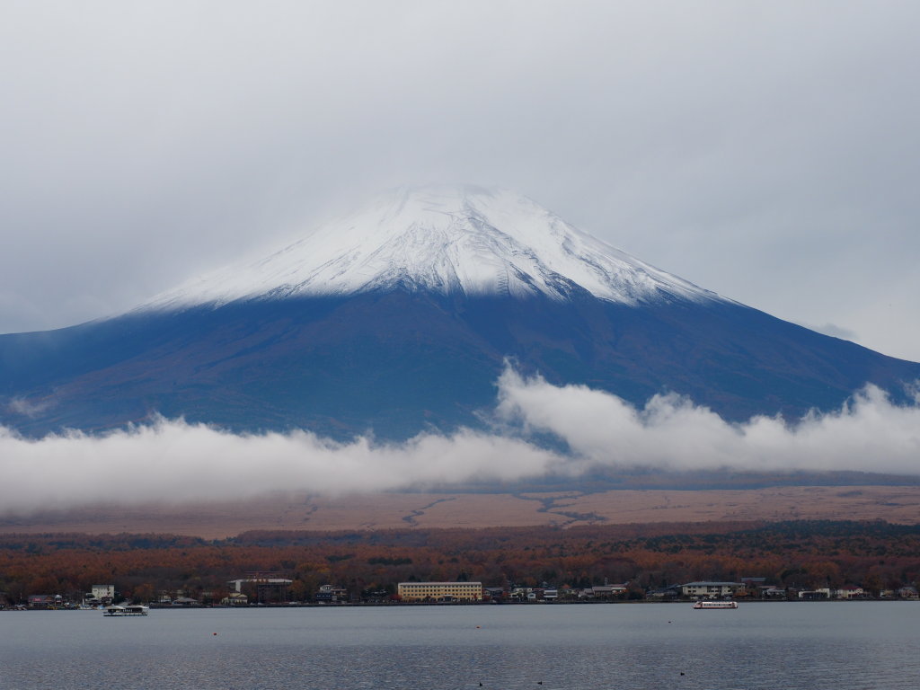 11/8 �x�m�R�ɐ�