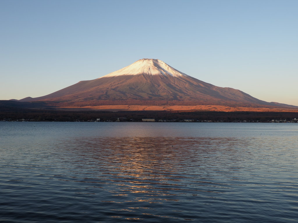 11/9 ���Ă��̕x�m�R