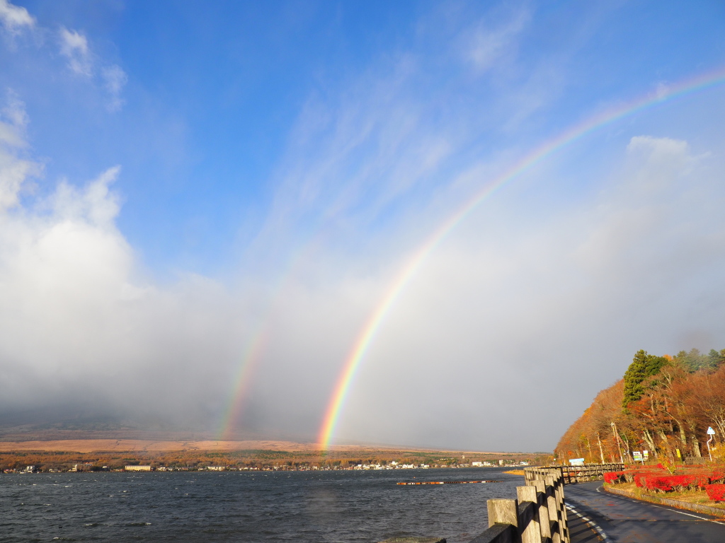 11/11 �_�u����