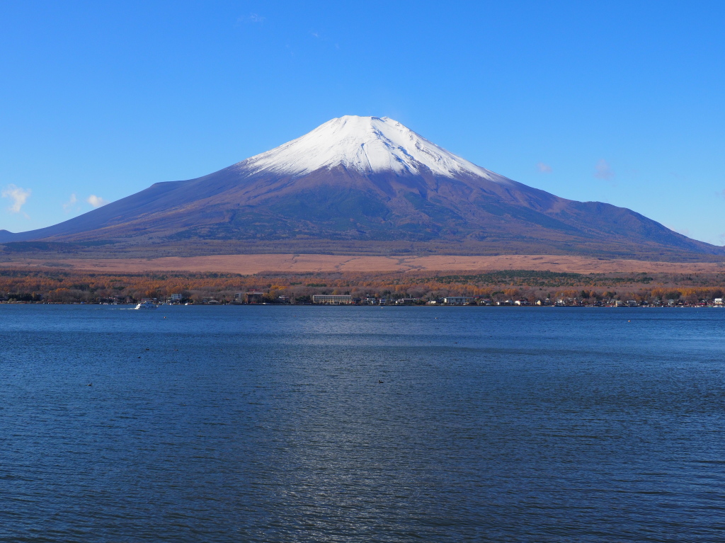 11/11 ��̕x�m�R