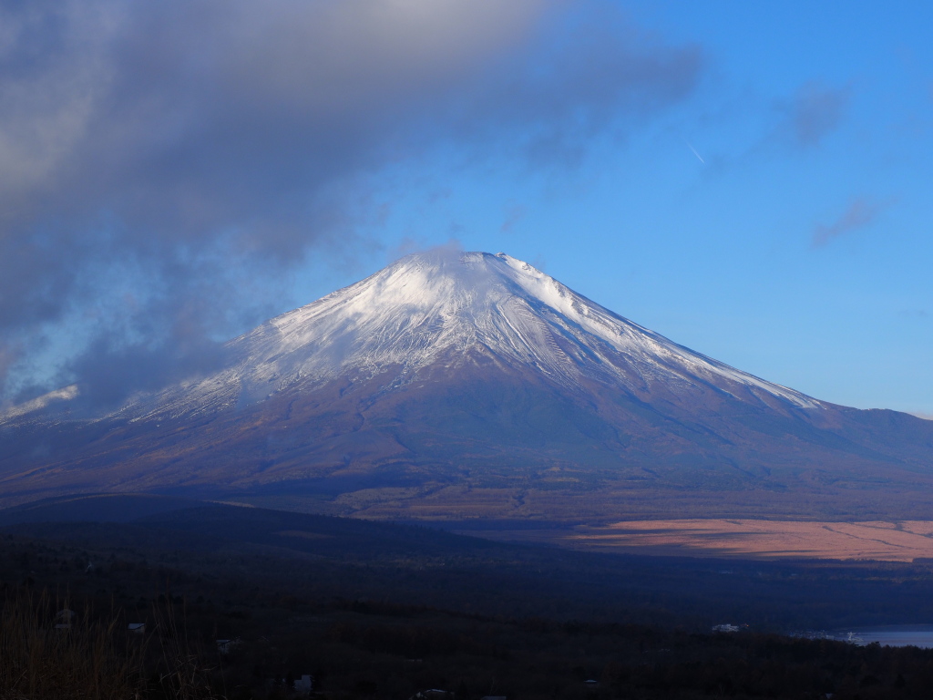 11/22 �������߂��x�m�R