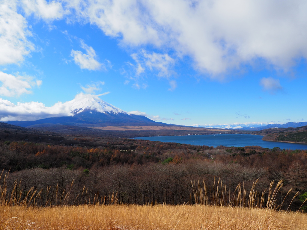 11/23 �J�オ��̕x�m�R