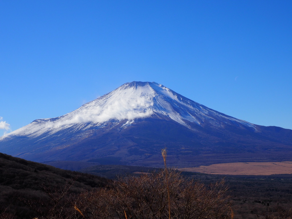 12/12 �O�����u����̕x�m�R