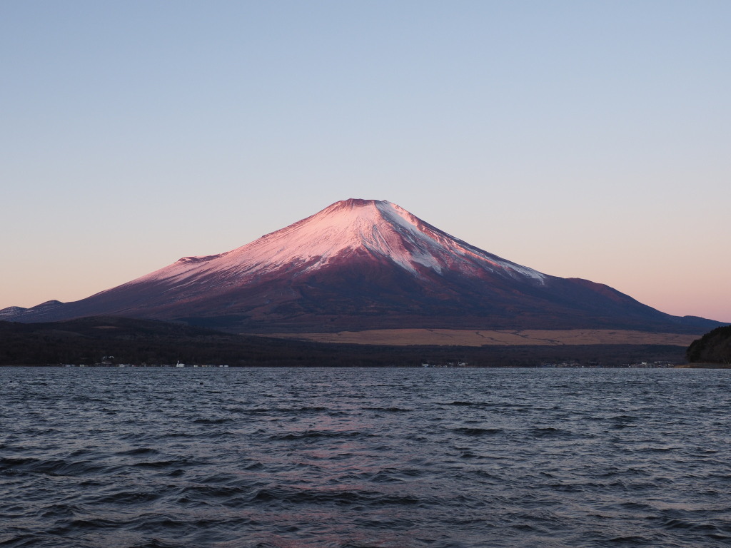 12/14 ���Ă��̕x�m�R