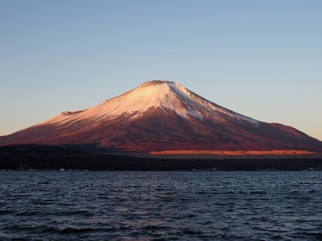 12/14 �������ɓ������