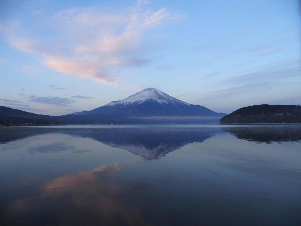 12/16 ���Ă��̕x�m�R